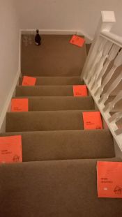 WP_20141130_16_12_33_Pro