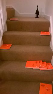 WP_20141130_16_15_22_Pro